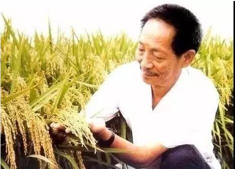 28圈(中国)官方网站